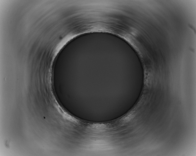 X0000103131094200808221148