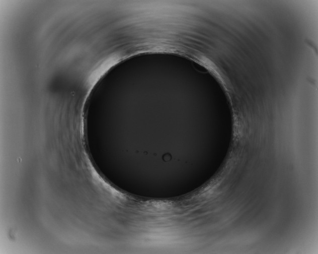 X0000103131095200808221148