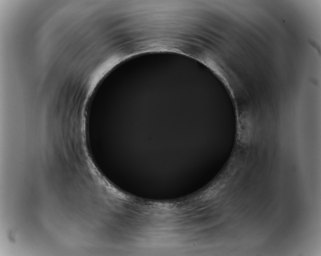 X0000103131096200808221148