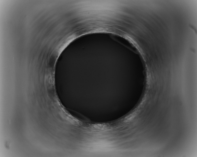 X0000103131097200808221148