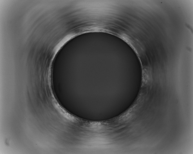 X0000103131098200808221148