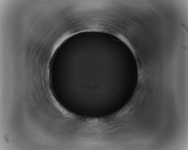 X0000103131099200808221148