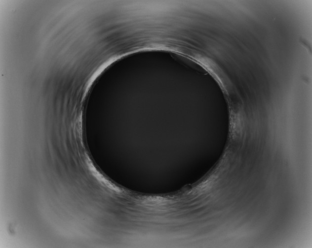 X0000103131100200808221148