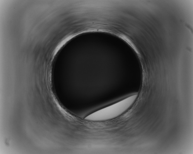 X0000103131101200808221148