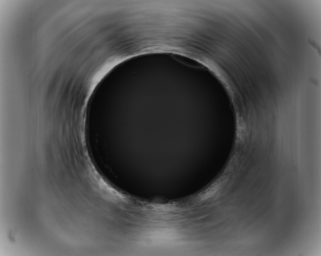 X0000103131102200808221148