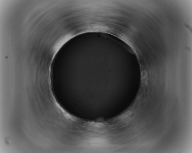 X0000103131103200808221148