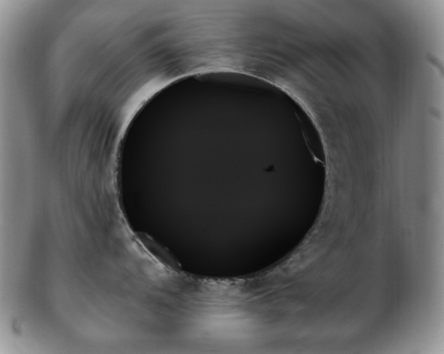 X0000103131104200808221148