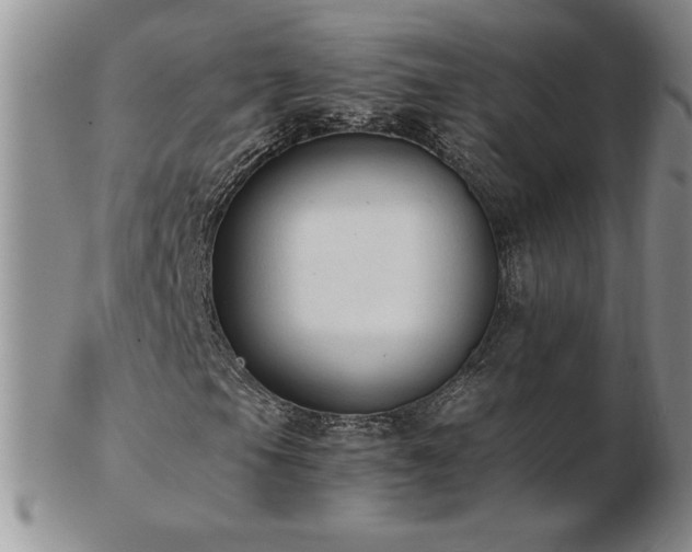 X0000103131105200808221147
