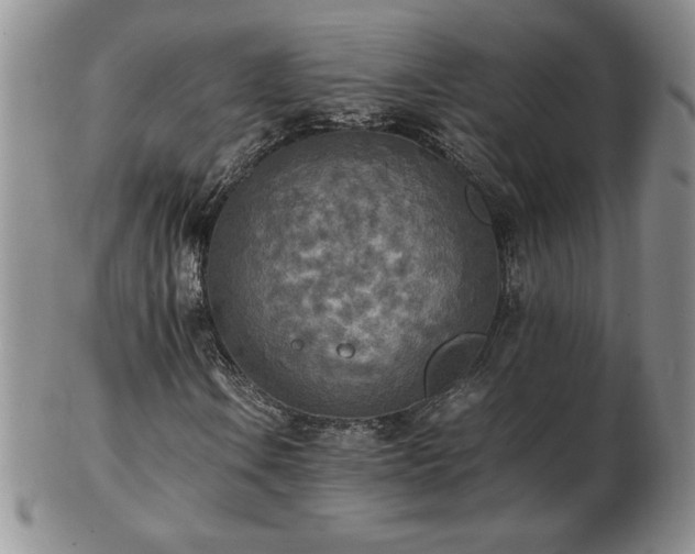 X0000103131106200808221147