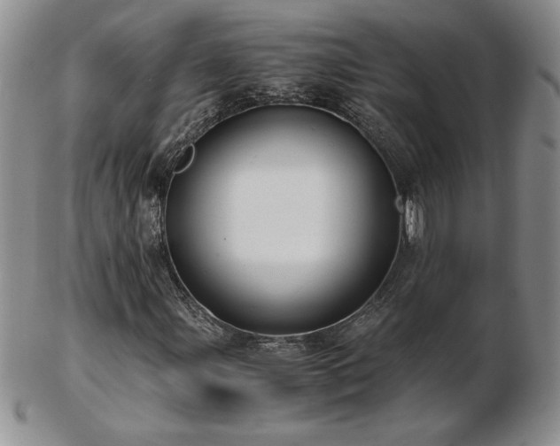X0000103131107200808221147