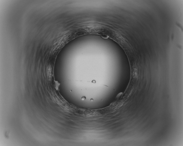 X0000103131108200808221147