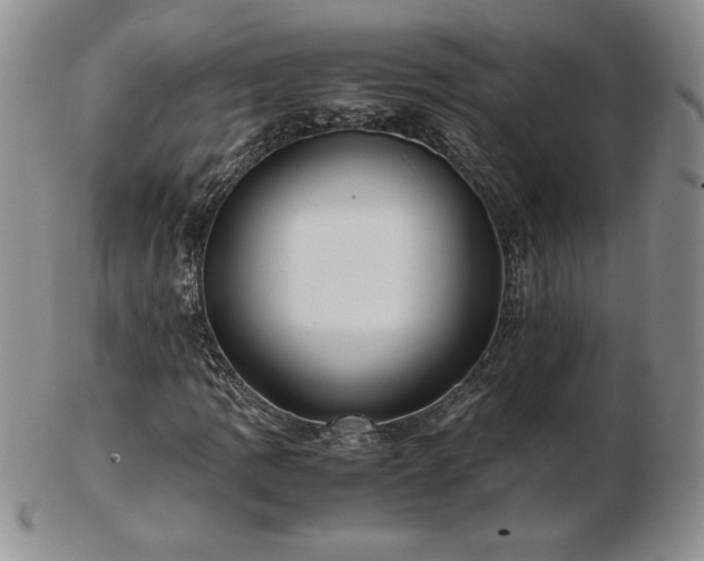 X0000103131109200808221147