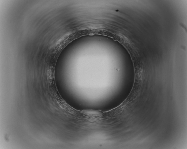 X0000103131110200808221147