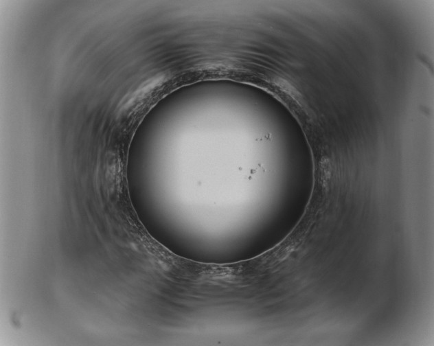 X0000103131111200808221147