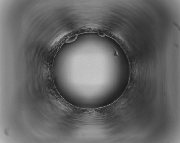 X0000103131112200808221147