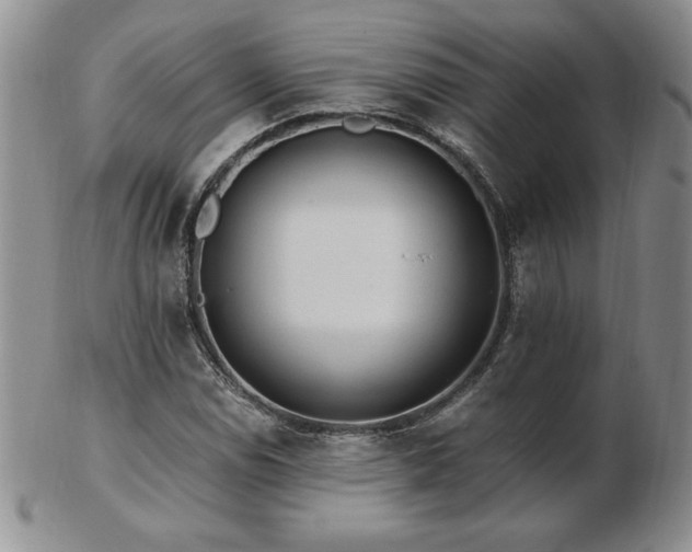 X0000103131114200808221147