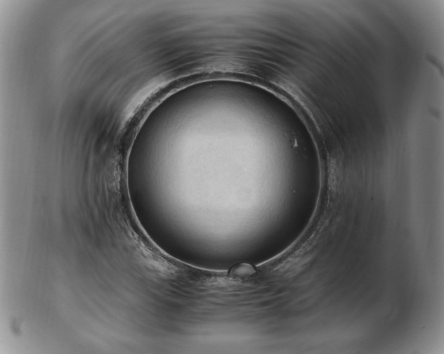 X0000103131115200808221147
