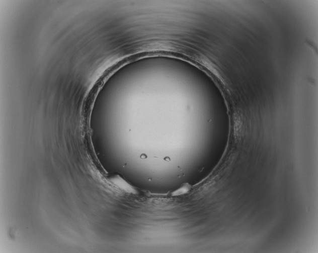 X0000103131116200808221147