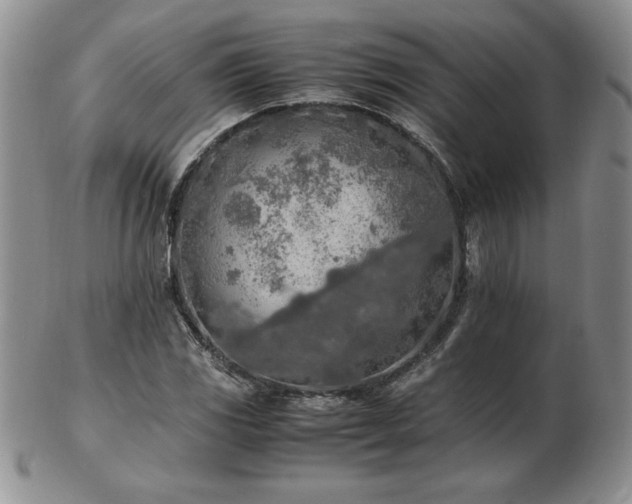 X0000103131117200808221147