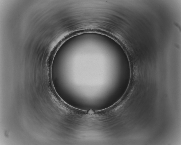 X0000103131118200808221147