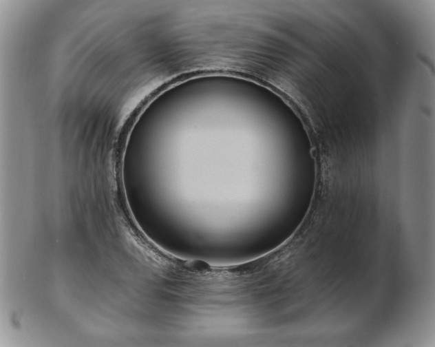 X0000103131120200808221147