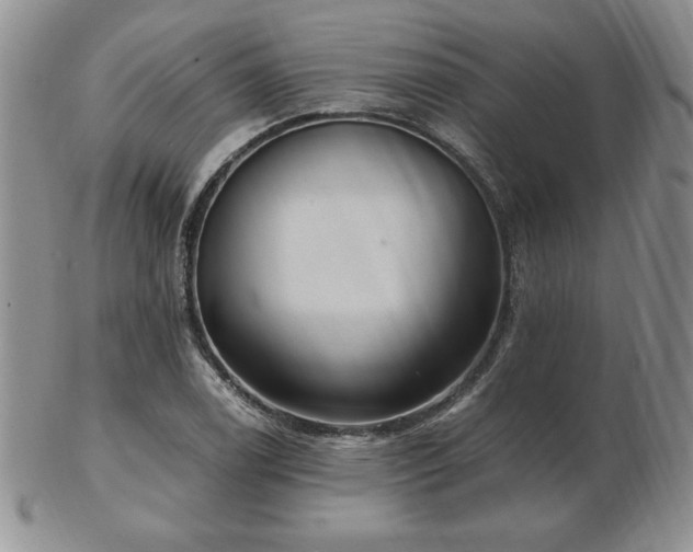 X0000103131122200808221147
