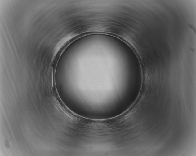 X0000103131123200808221147