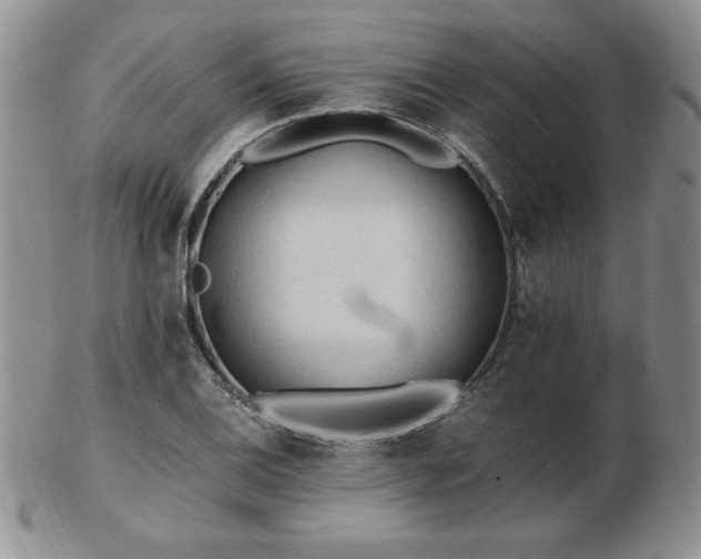 X0000103131124200808221147