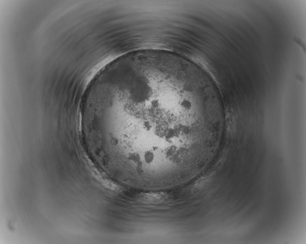 X0000103131125200808221147