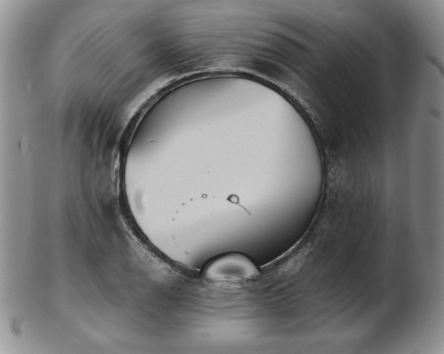 X0000103131126200808221147