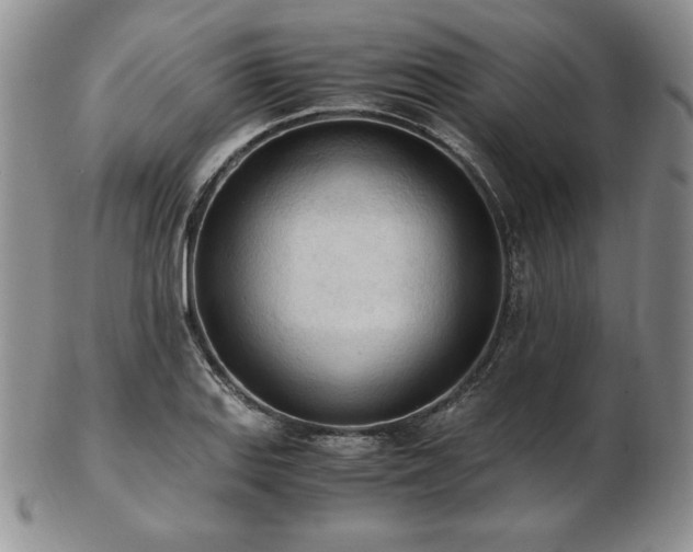 X0000103131127200808221147