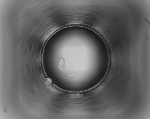 X0000103131129200808221147