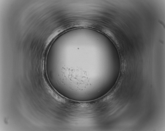 X0000103131130200808221148