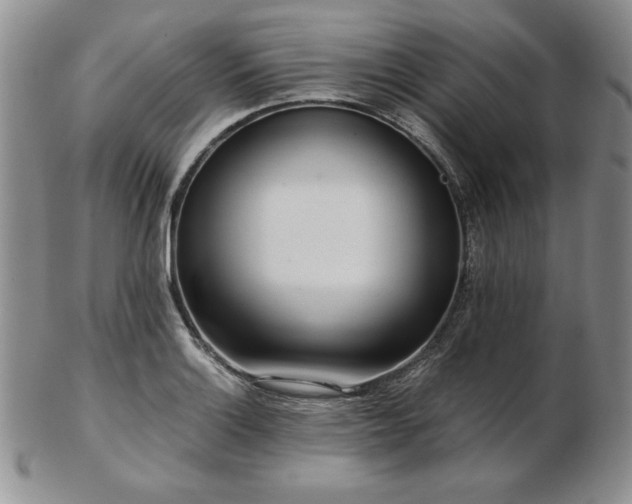 X0000103131132200808221148