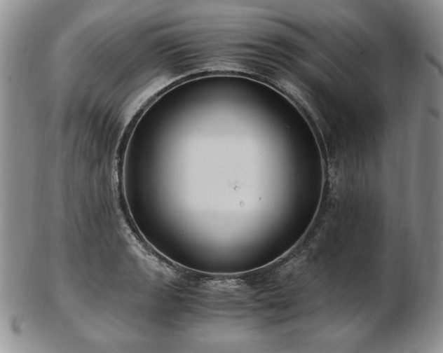 X0000103131133200808221148