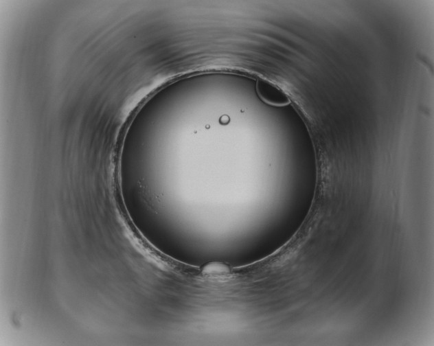 X0000103131134200808221148