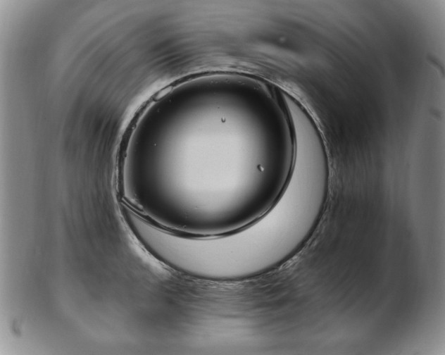 X0000103131136200808221148