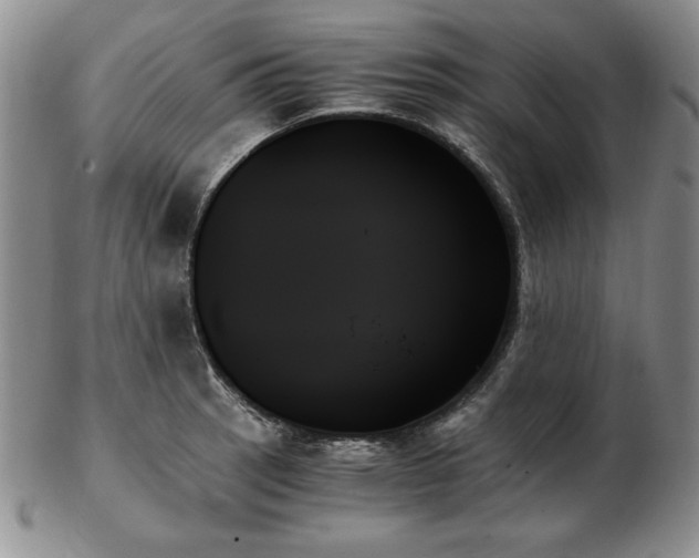X0000103131137200808221148