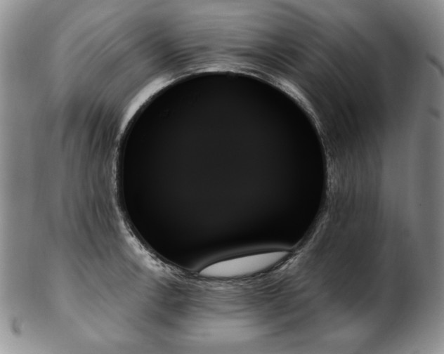X0000103131138200808221148