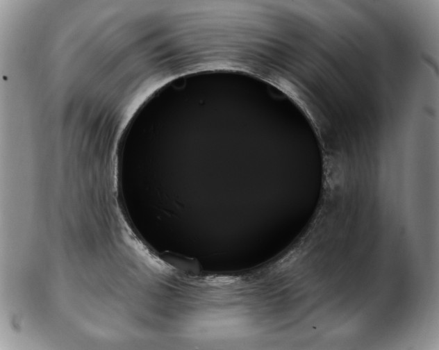 X0000103131140200808221148