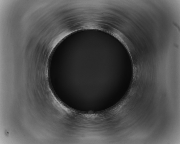 X0000103131141200808221148