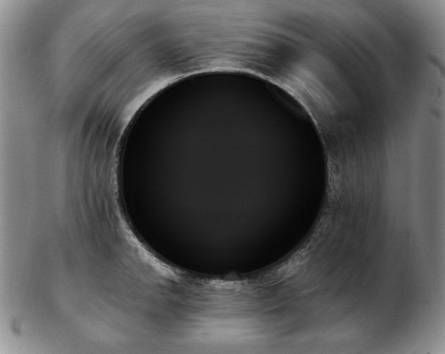 X0000103131142200808221148