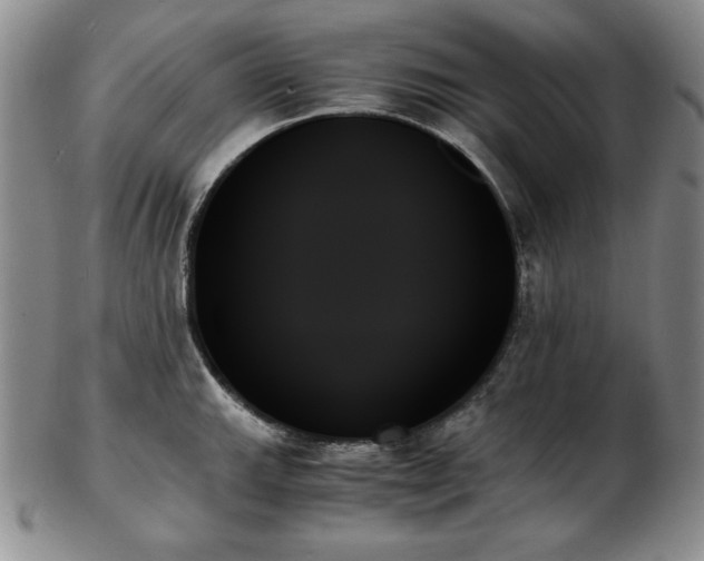 X0000103131143200808221148