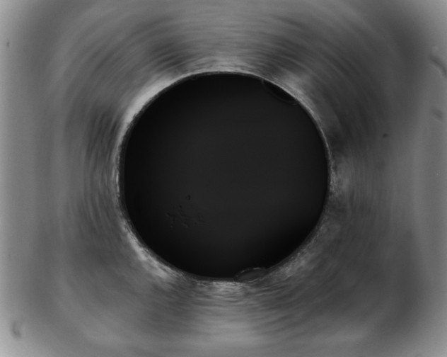 X0000103131144200808221148