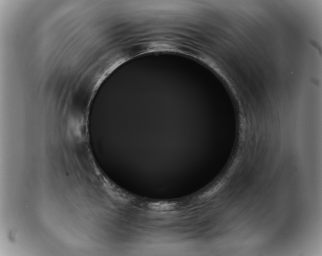X0000103131145200808221148