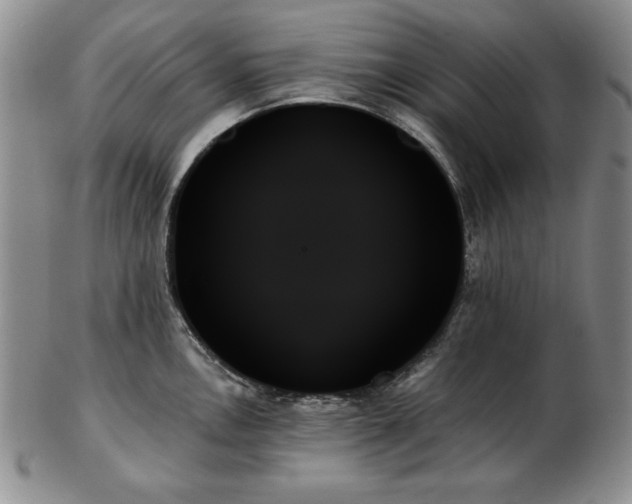 X0000103131146200808221148