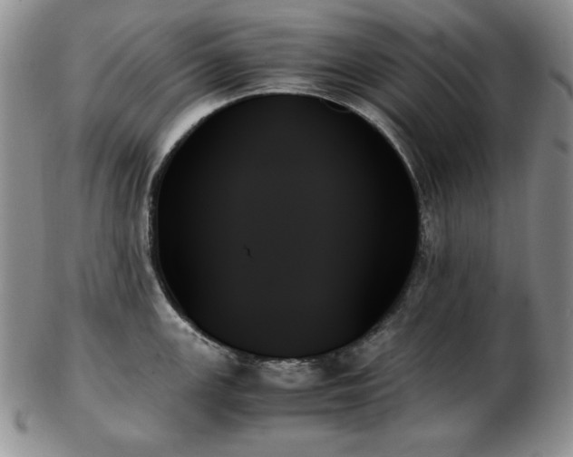 X0000103131147200808221148