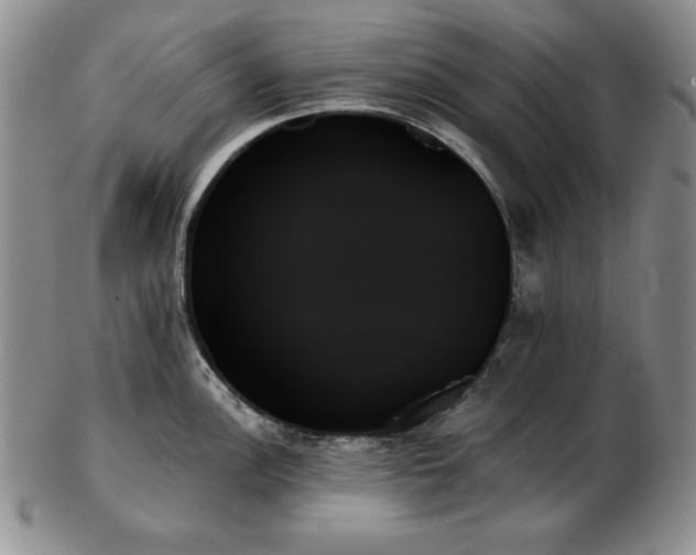X0000103131148200808221148