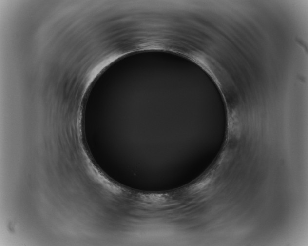 X0000103131149200808221148