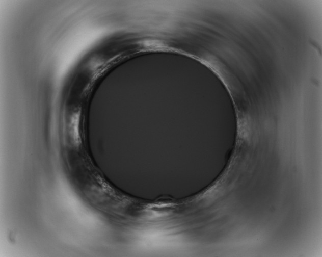 X0000103131150200808221148